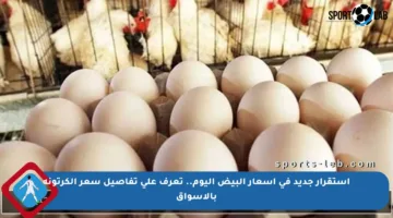 استقرار جديد في أسعار البيض اليوم.. تعرف على تفاصيل سعر الكرتونة بالأسواق